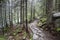 Mountain trail in Tatry, Poland.