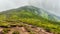 Mountain trail to the top of Hoverla mount in Carpathians, Ukraine.