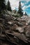 Mountain trail with tree roots and stones Zyuratkul Range