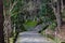 Mountain trail in Yamadera, Japan