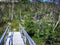 Mountain trails of Norway, wooden bridge