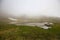 Mountain tranquil foggy lake