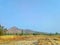 Mountain ,tree ,sky ,farmland ,soil ,field