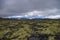 Mountain tundra with mosses and rocks covered with lichens, Hibiny mountains above the Arctic circle, Kola peninsula, Russia