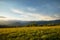 Mountain valley during bright sunrise, blooming meadow. Beautiful natural landscape. Adygea, do-do-gush