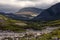 Mountain valley covered with thickets of cedar.