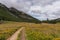 Mountain valley filled with flowers. Western Tatras