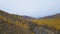 mountain valley panorama, autumn, coniferous forest