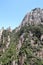 Mountain, vegetation, rock, mountainous, landforms, nature, reserve, wilderness, escarpment, cliff, tree, mount, scenery, sky, nat