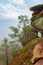 a mountain with a very tall cliff in the middle of it\'s forest area with trees on both sides