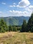 Mountain vibes in apuseni mountains