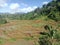 Mountain view in Cibatu West Java