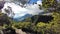 Mountain view cloudy tree papandayan park