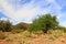 Mountain View in Colossal Cave Mountain Park