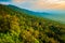 Mountain View and Forest canopy