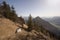 Mountain view from Heuberg, Bavaria in springtim