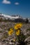 Mountain Views in Cascade Canyon of the Teton Crest Trail in Summer