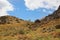 Mountain views, flowering tree