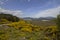 Mountain views in the northwest Highlands of Scotland