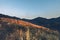 Mountain views and roadside At the country house Light in the evening