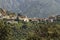 Mountain village of Belgodere in the Nebbio region, Corsica, France,