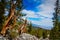 Mountain Vista - Bristlecone Pine Grove Trail - Great Basin National Park - Baker, Nevada