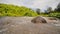 The mountain volcanic river originating from the Mayon volcano. Legazpi. Philippines. Shooting in motion.