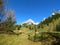 mountain Vrtaca and meadow at Zelenica in Karawanks, Gorenjska, Slovenia and larch and spruce forest