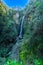 Mountain waterfall with milky water in tropical forest among green-blue rocks