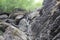 Mountain waterfall. Mountain river among gray huge boulders in the middle of a dense forest