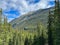 The mountain where the Spiral Tunnels for trains was built in Yoho National Park near Field, British Columbia in Canada