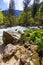 Mountain wild river landscape. River valley in mountains. Wild mountain river panorama. Small waterfall in forest stream. Long
