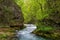 Mountain winding stream flowing through Vintgar gorge, Slovenia