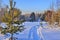 Mountain winter forest landscape at bright sunny day