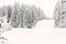 Mountain winter forest ski snow runway