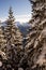 Mountain winter landscape. Polish Tatras