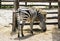 Mountain zebra - Equus zebra hartmannae feeding in captivity