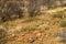 Mountain Zebra National Park, South Africa: war graves from the Anglo-Boer war - unknown soldiers