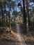 Mountainbike path through the Sallandse heuvelrug National park