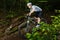 Mountainbiker driving through a curve