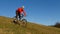 Mountainbiker on a meadow