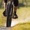 Mountainbiker on a singletrail