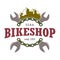 Mountainbikes repair shop color logo