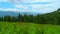 Mountaine with forest. Nature timelapse Landscape with Beautiful blue sky with clouds