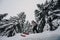 Mountaineer backcountry ski waling two ski alpinist in the mountains. Ski touring in alpine landscape with snowy trees. Adventure