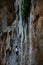 Mountaineer in Phra Nang Cave Beach
,
railay Krabi, Thailand