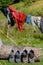 Mountaineering clothes drying