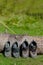 Mountaineering clothes drying