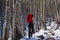 Mountaineering scene in a woodland of the italian alps