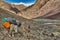 Mountaineers and donkeys carrying climbing equipment on a mountain path to the base camp of Stok Kangri peak at 5500m